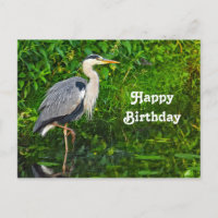 Great Blue Heron Bird Wildlife Foto Geburtstag