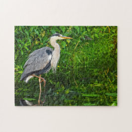 Great Blue Heron Bird Wildlife Foto Puzzle