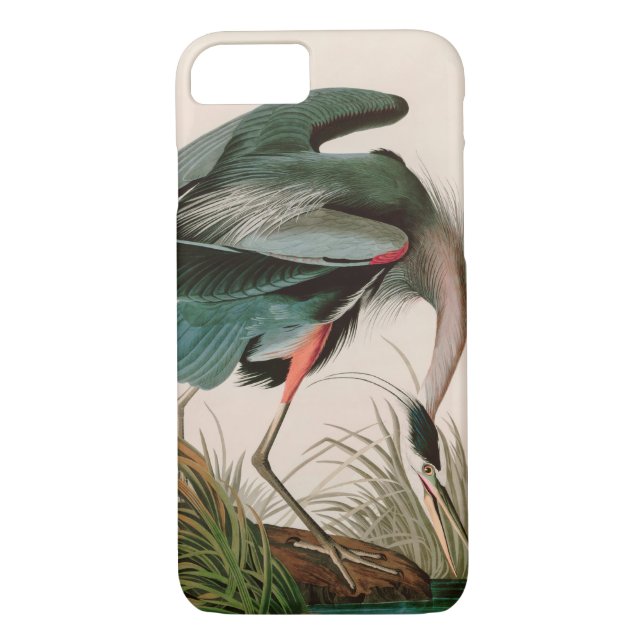 Great Blue Heron Birds of America Audubon Print Case-Mate iPhone Hülle (Rückseite)