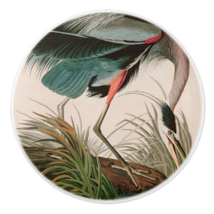 Great Blue Heron Birds of America Audubon Print Keramikknauf