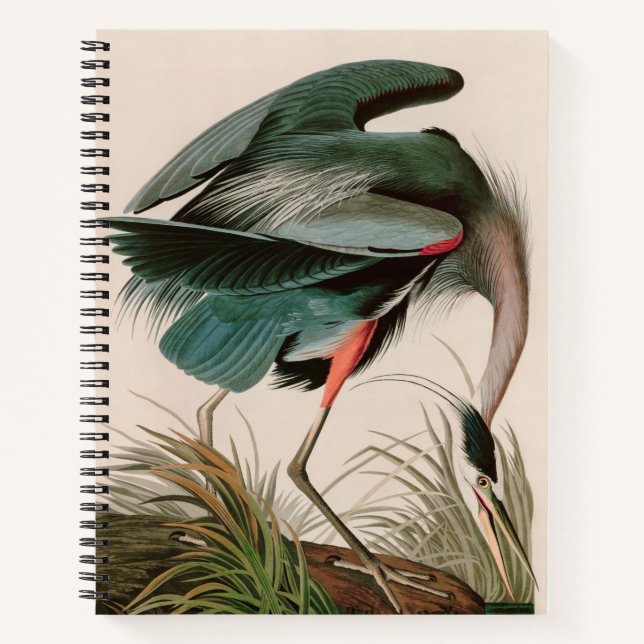Great Blue Heron Birds of America Audubon Print Notizbuch (Vorderseite)