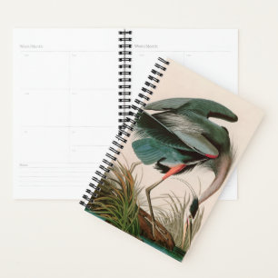 Great Blue Heron Birds of America Audubon Print Planer