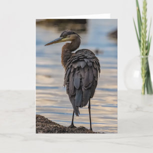 Great Blue Heron Dankeschön Card Dankeskarte