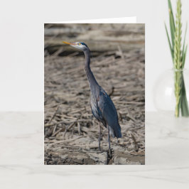 Great Blue Heron Dankeschön Card Dankeskarte