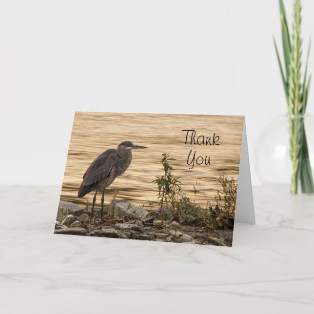 Great Blue Heron Dankeskarte (Vorderseite)