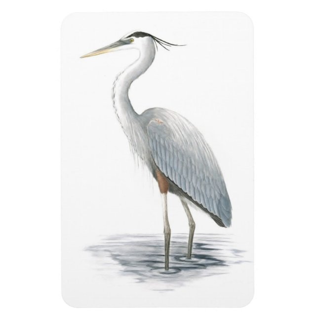 Great Blue Heron Flexi Magnet (Vertikal)