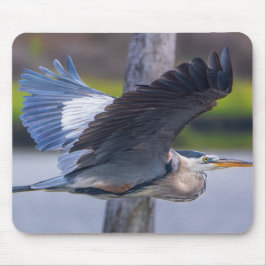 Great Blue Heron Flight Wildlife Bird Photography Mousepad