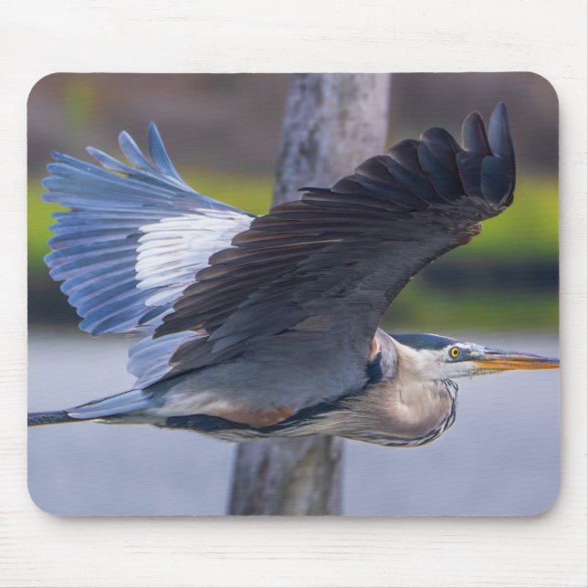 Great Blue Heron Flight Wildlife Bird Photography Mousepad (Vorne)