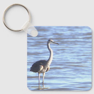 Great Blue Heron Foto Schlüsselanhänger