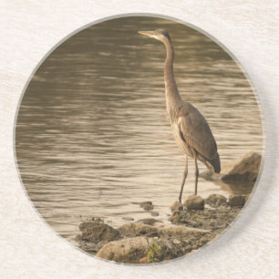 Great Blue Heron Getränkeuntersetzer
