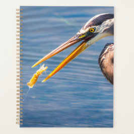Great Blue Heron Hunting Prey Wildlife Art Print Planer