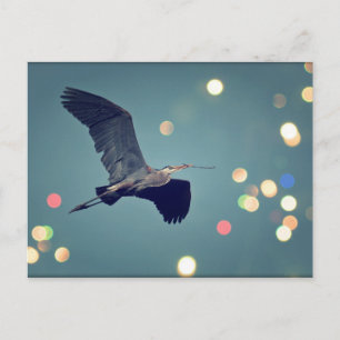 Great Blue Heron in Flight Postcard Postkarte