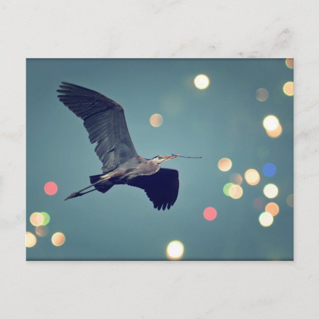 Great Blue Heron in Flight Postcard Postkarte (Vorderseite)