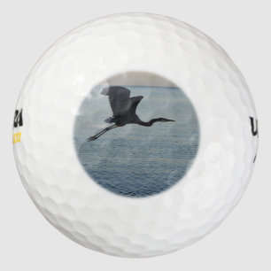 Great Blue Heron in Neapel, FL Golfball