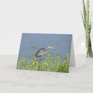 Great Blue Heron in River. Karte