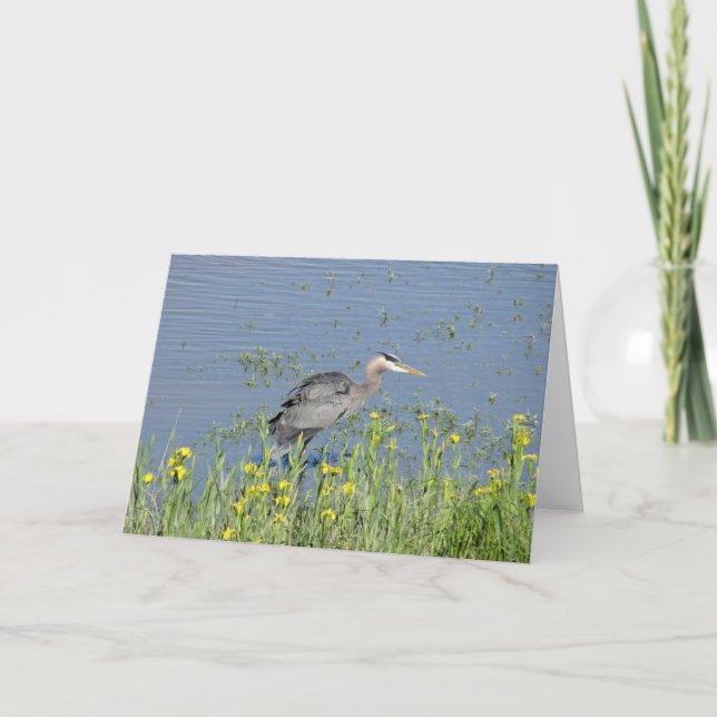 Great Blue Heron in River. Karte (Vorderseite)