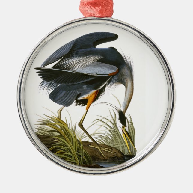 Great Blue Heron, John James Audubon Silbernes Ornament (Vorne)