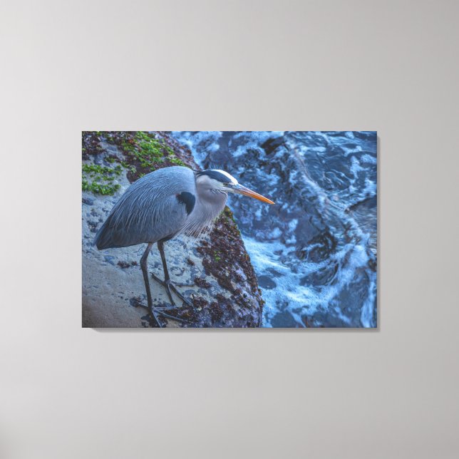 Great Blue Heron Leinwanddruck (Vorderseite)
