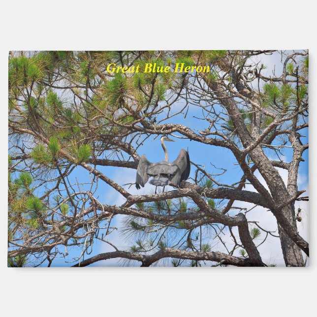 Great Blue Heron Magnet (Vorderseite)