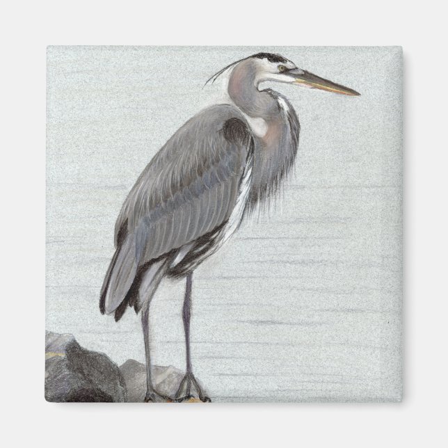 Great Blue Heron Magnet (Vorne)