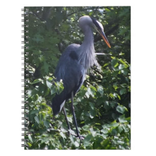 Great Blue Heron Notebook Notizblock