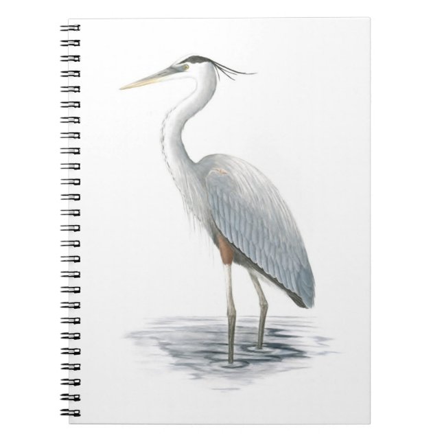 Great Blue Heron Notebook Notizblock (Vorderseite)