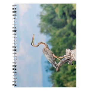 Great Blue Heron Notizblock