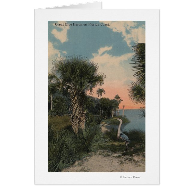 Great Blue Heron on Florida Coast Beach (Vorne)