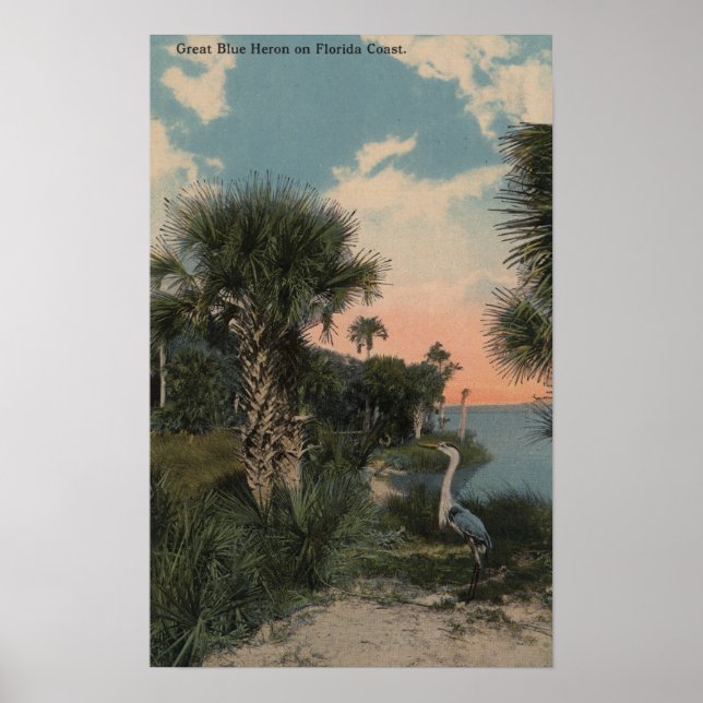 Great Blue Heron on Florida Coast Beach Poster (Vorne)