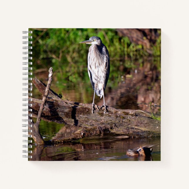 Great Blue Heron on Log Foto Notebook Journal Notizbuch (Vorderseite)