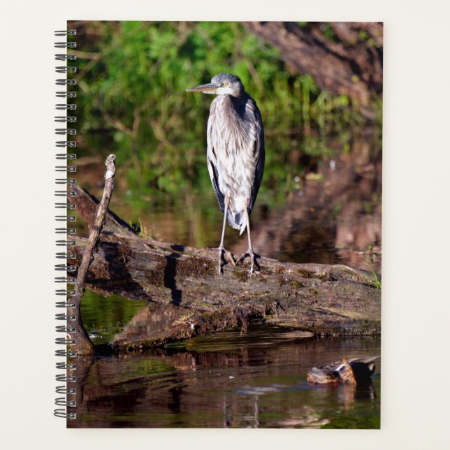 Great Blue Heron on Log Foto Planner Planer (Vorderseite)
