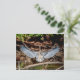 Great Blue Heron on on log Postkarte (Stehend Vorderseite)