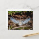 Great Blue Heron on on log Postkarte (Vorderseite/Rückseite Beispiel)