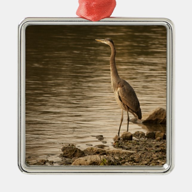 Great Blue Heron Ornament Aus Metall (Vorne)