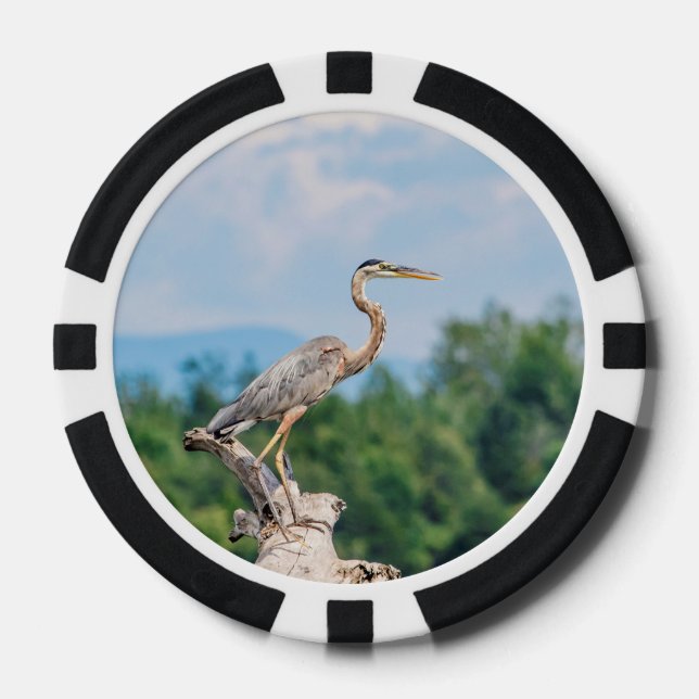 Great Blue Heron Pokerchips (Vorderseite)