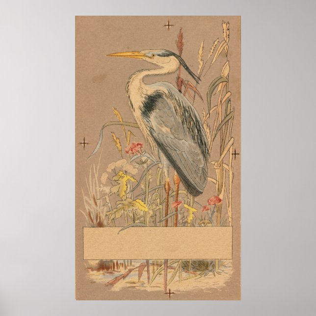 Great Blue Heron Poster (Vorne)