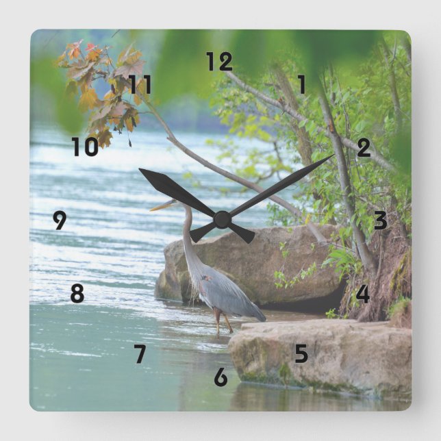 Great Blue Heron Quadratische Wanduhr (Vorderseite)