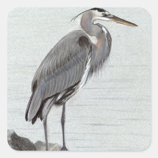 Great Blue Heron Quadratischer Aufkleber (Vorderseite)