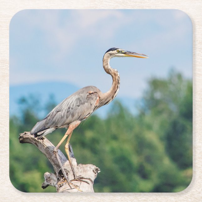 Great Blue Heron Rechteckiger Pappuntersetzer (Vorderseite)