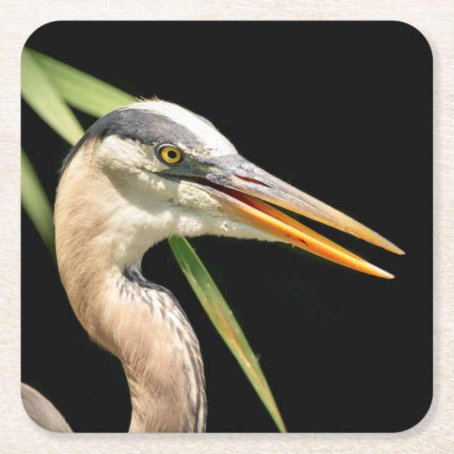 Great Blue Heron Rechteckiger Pappuntersetzer (Vorderseite)