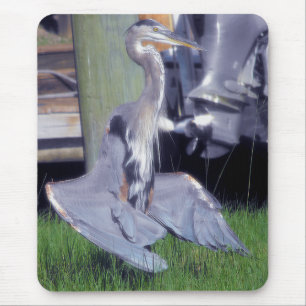 Great Blue Heron Sonnenbaden Mousepad