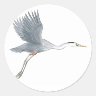 Great Blue Heron Start Off Sticker