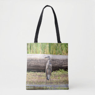 Great Blue Heron stehend in Lake Champlain