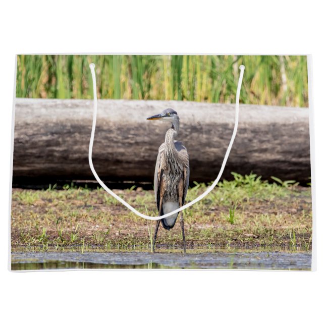 Great Blue Heron stehend in Lake Champlain Große Geschenktüte (Vorderseite)