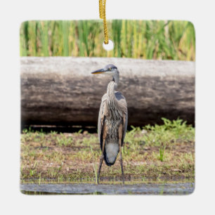 Great Blue Heron stehend in Lake Champlain Keramikornament