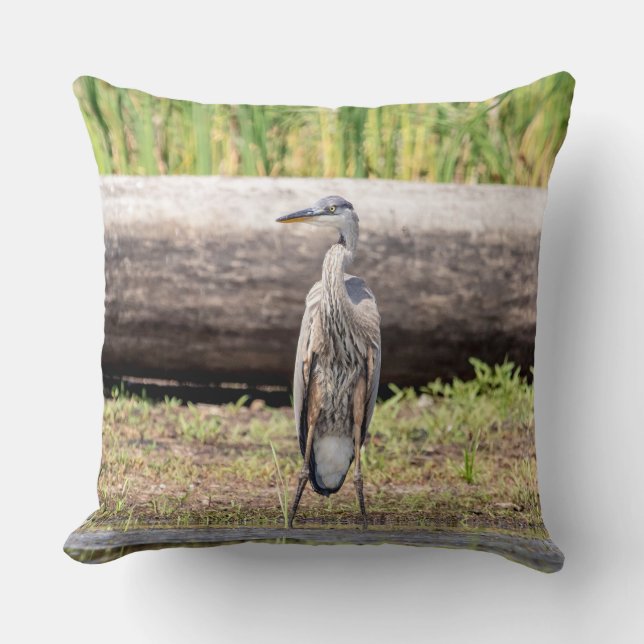Great Blue Heron stehend in Lake Champlain Kissen (Vorderseite)