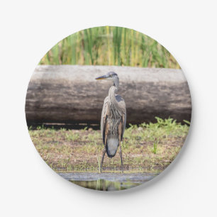Great Blue Heron stehend in Lake Champlain Pappteller