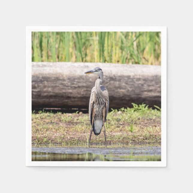Great Blue Heron stehend in Lake Champlain Serviette (Vorderseite)