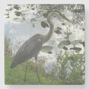 Great Blue Heron Stone Untersetzer