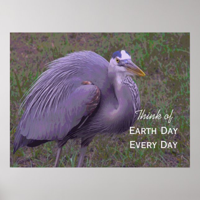 Great Blue Heron Territory Poster (Vorne)